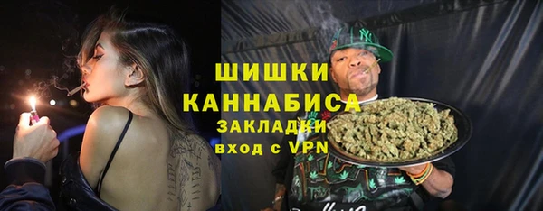 PSILOCYBIN Алзамай